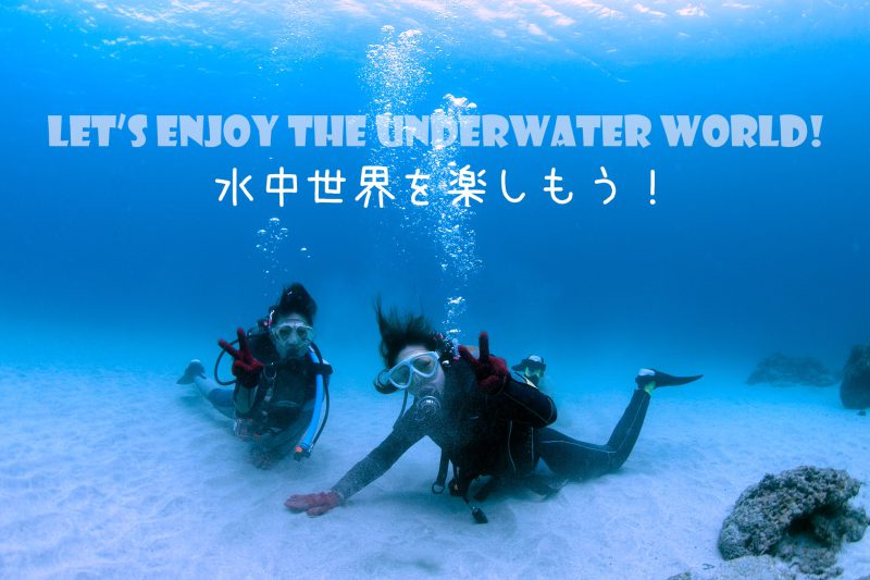 体験ダイビング / 1ダイブコース