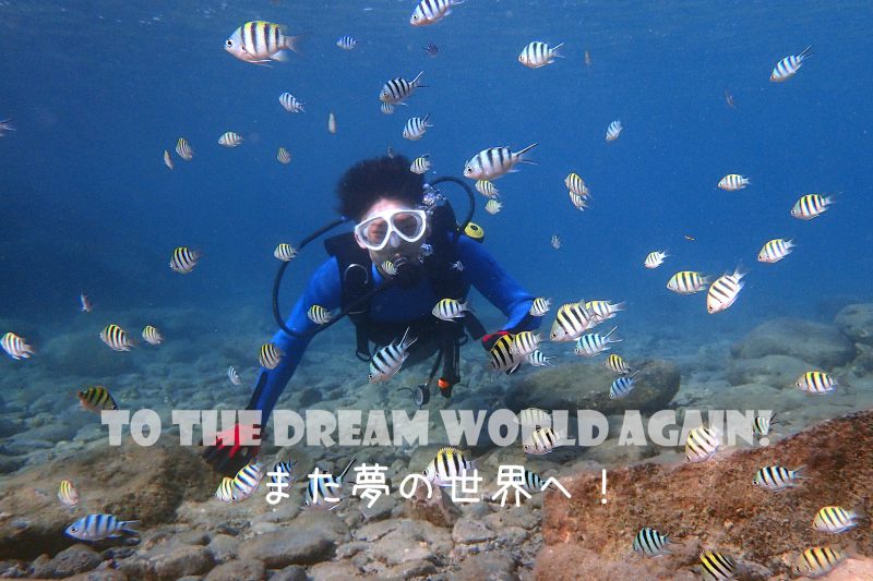 体験ダイビング / ２ダイブコース