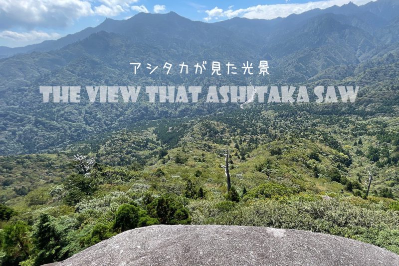 白谷雲水峡トレッキング(太鼓岩・ノーマルコース)